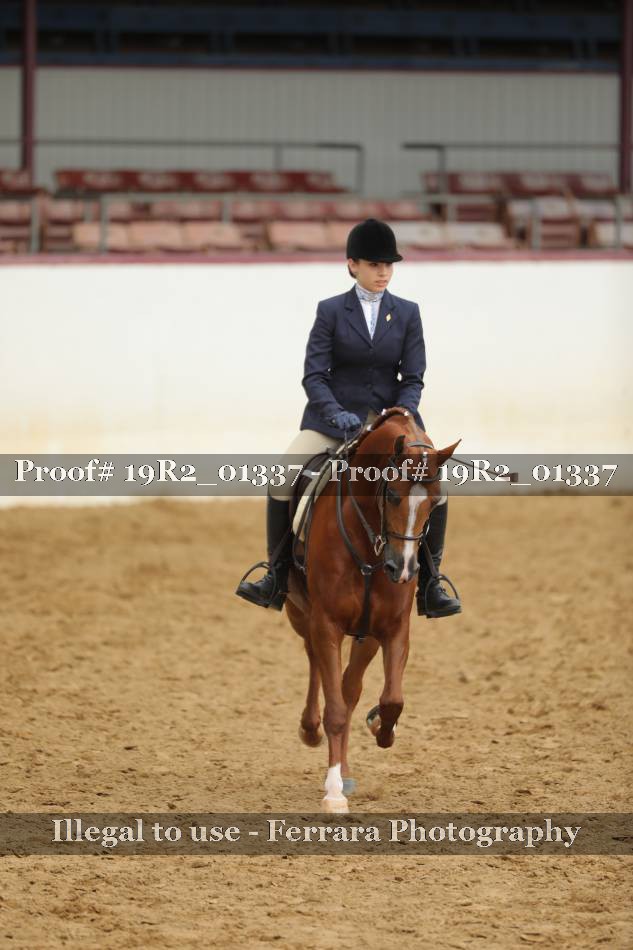 Proof 19R2_01337