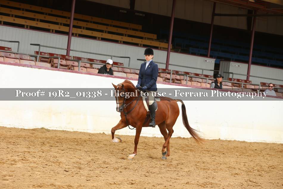 Proof 19R2_01338