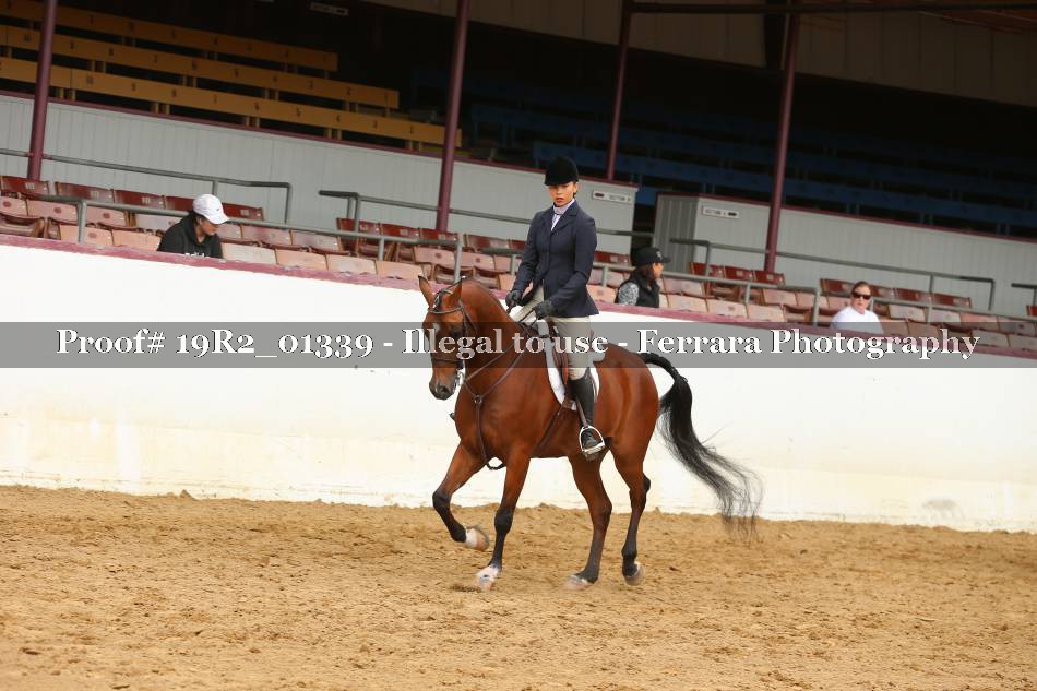 Proof 19R2_01339