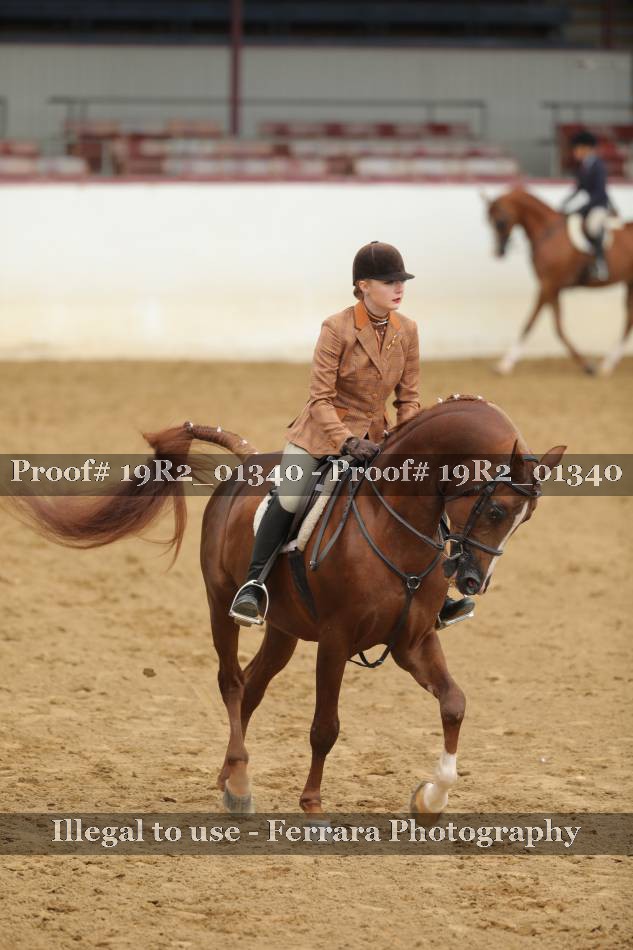 Proof 19R2_01340