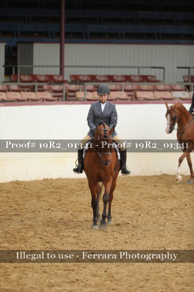Proof 19R2_01341
