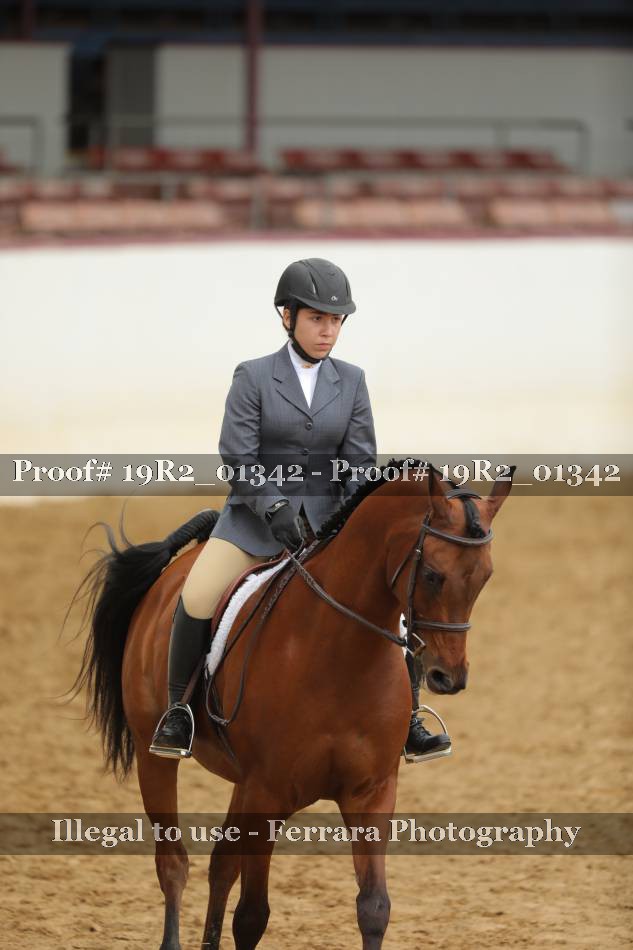 Proof 19R2_01342