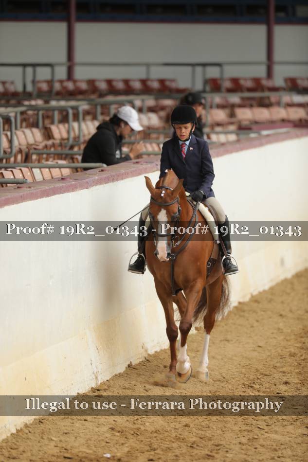 Proof 19R2_01343