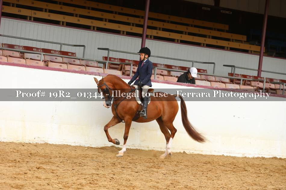 Proof 19R2_01344