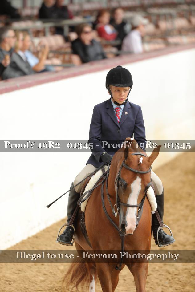 Proof 19R2_01345