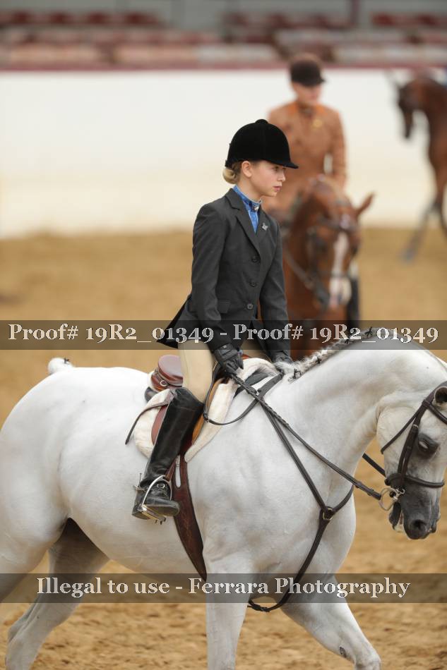 Proof 19R2_01349