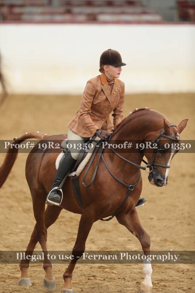 Proof 19R2_01350