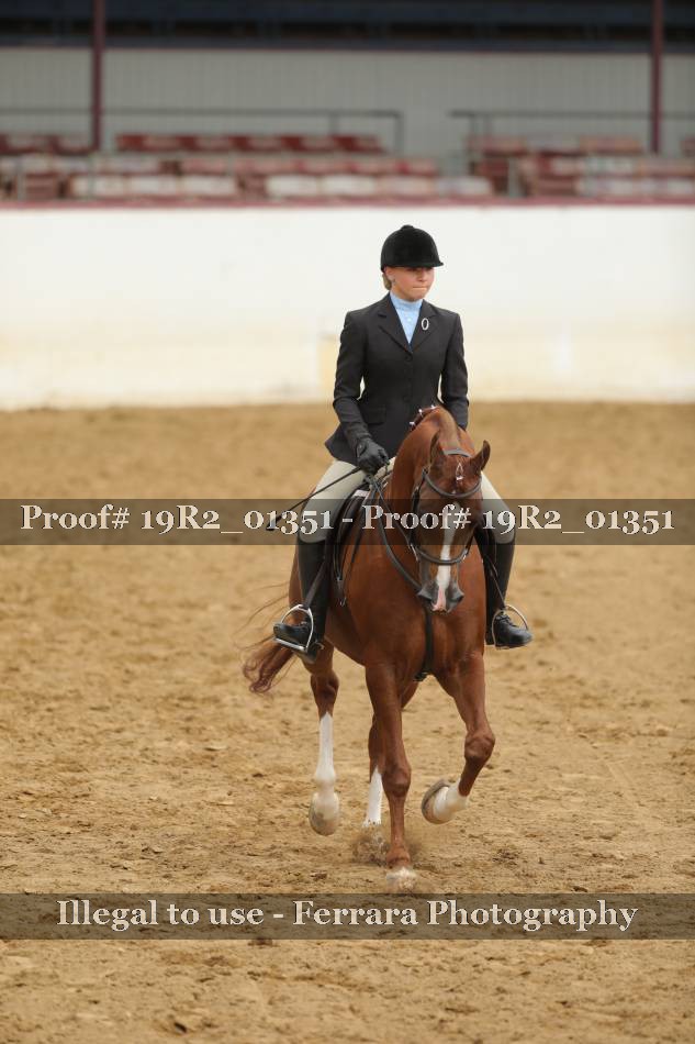 Proof 19R2_01351