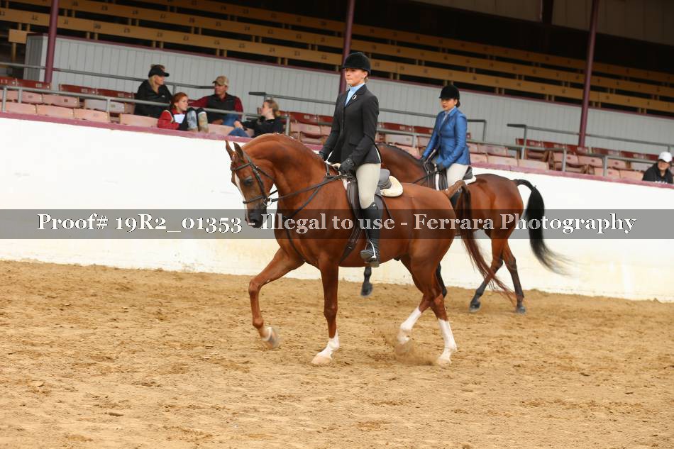 Proof 19R2_01353