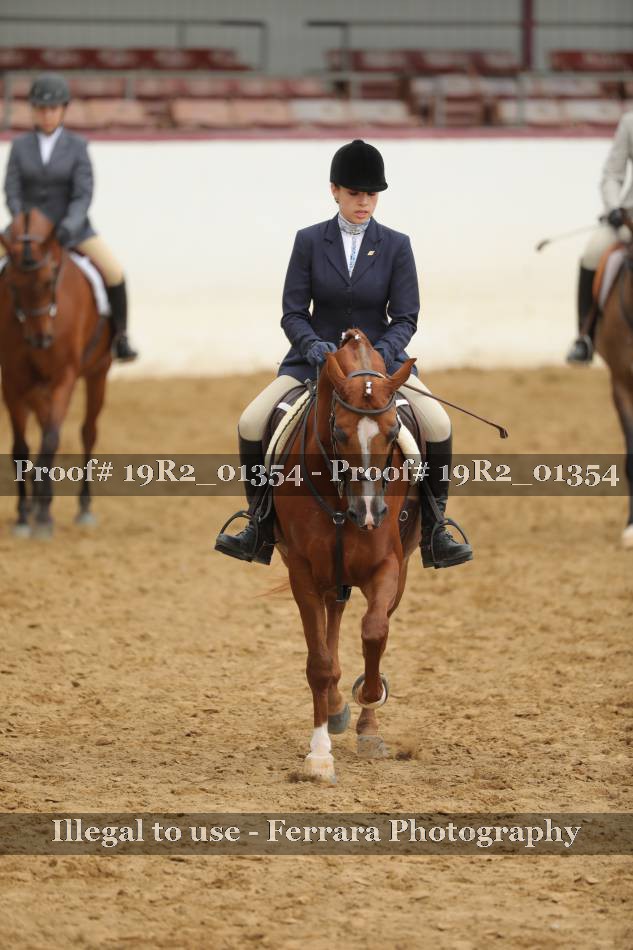 Proof 19R2_01354