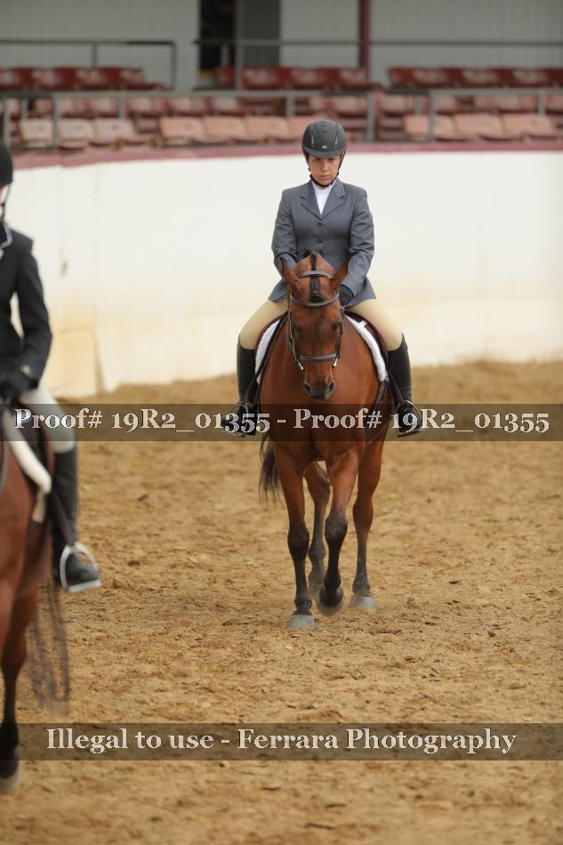 Proof 19R2_01355