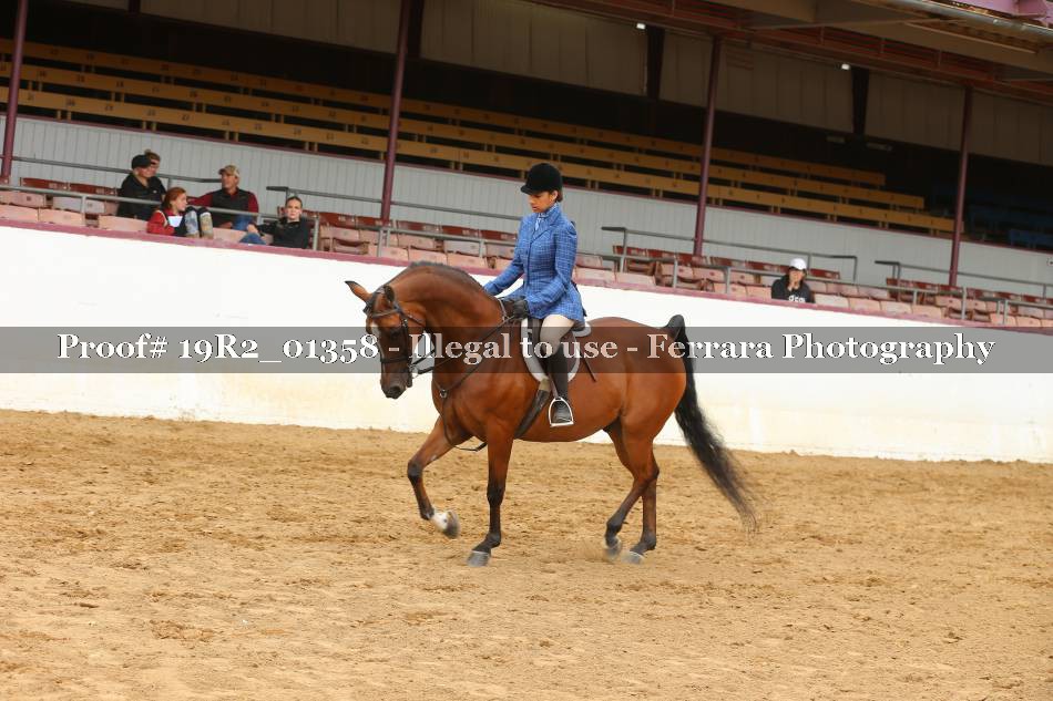 Proof 19R2_01358