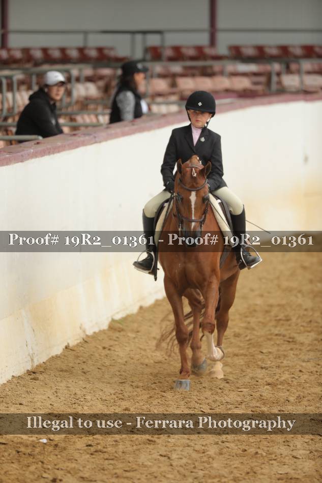 Proof 19R2_01361