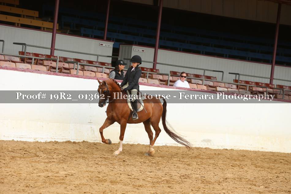Proof 19R2_01362