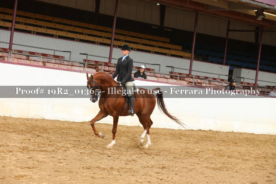 Proof 19R2_01365