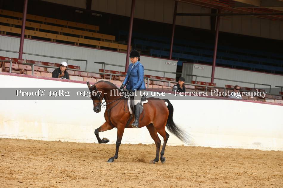 Proof 19R2_01367