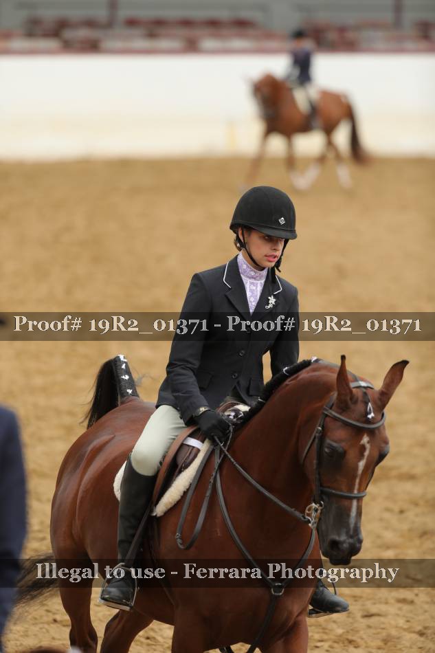 Proof 19R2_01371