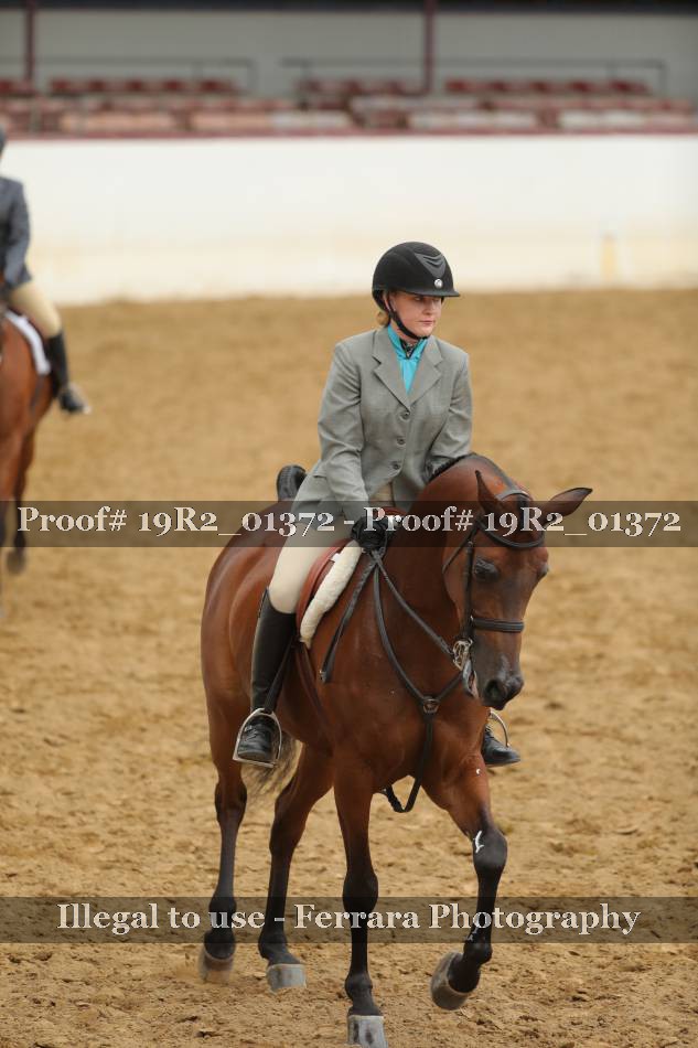 Proof 19R2_01372
