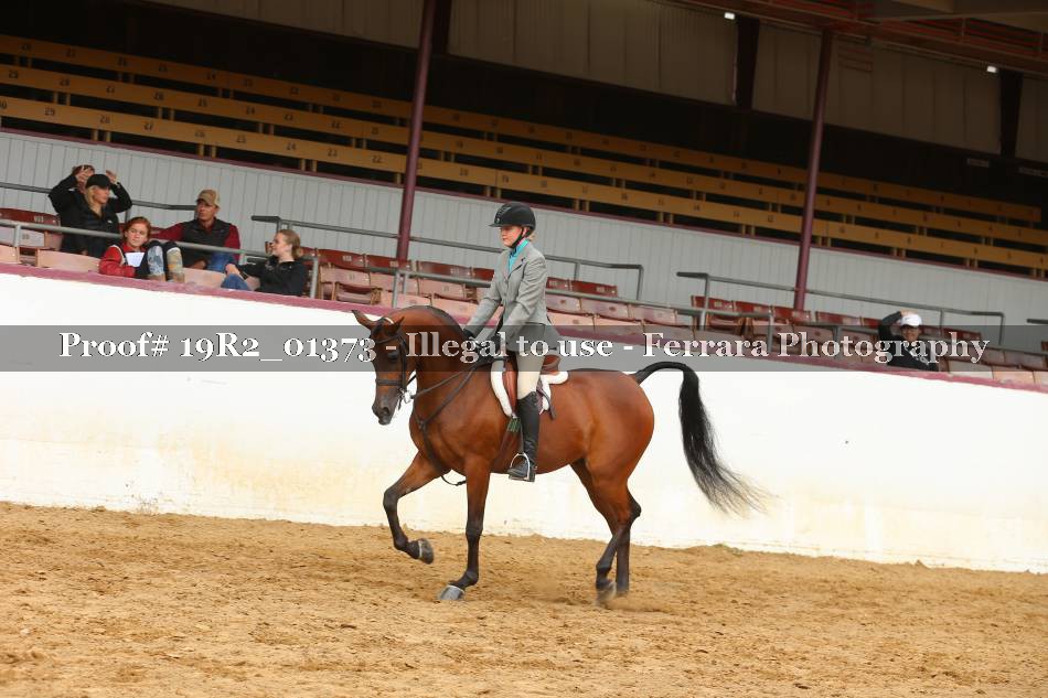 Proof 19R2_01373