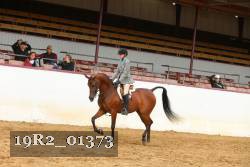 19R2_01373 proof
