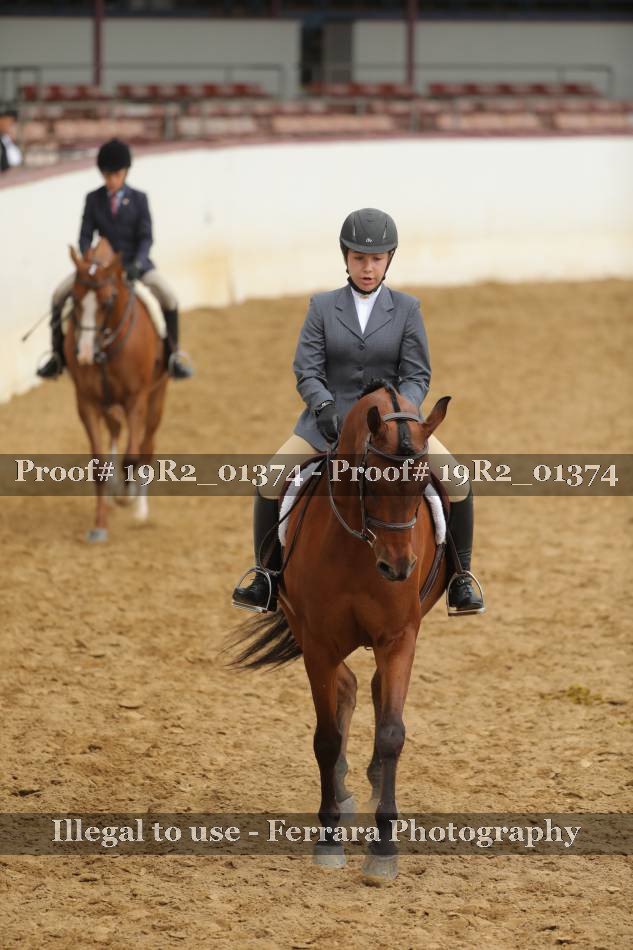 Proof 19R2_01374