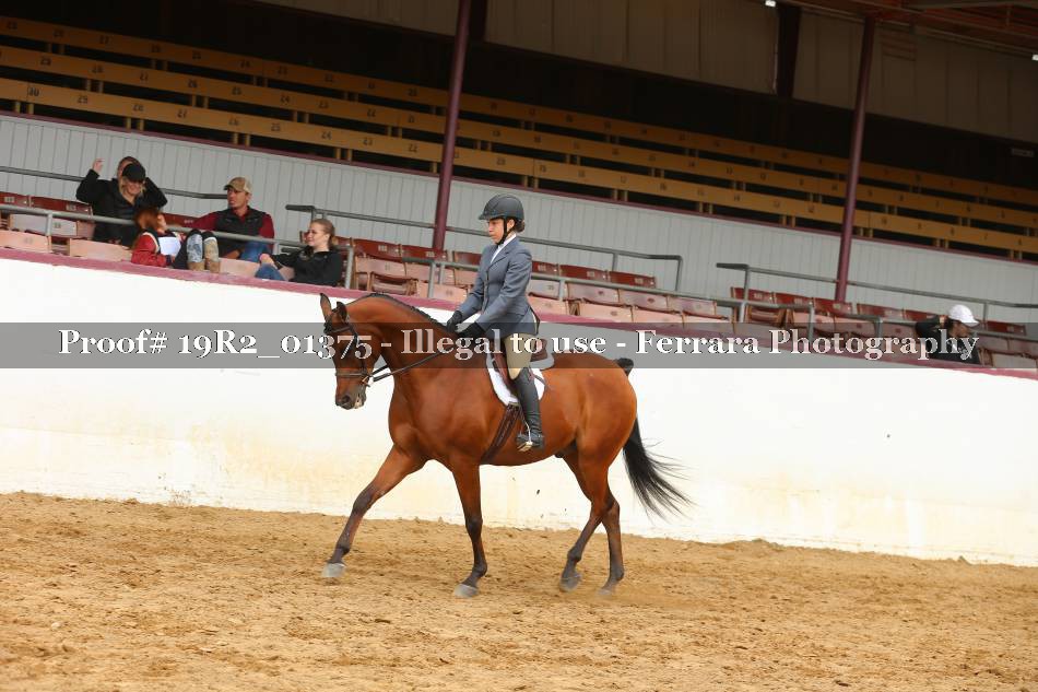 Proof 19R2_01375