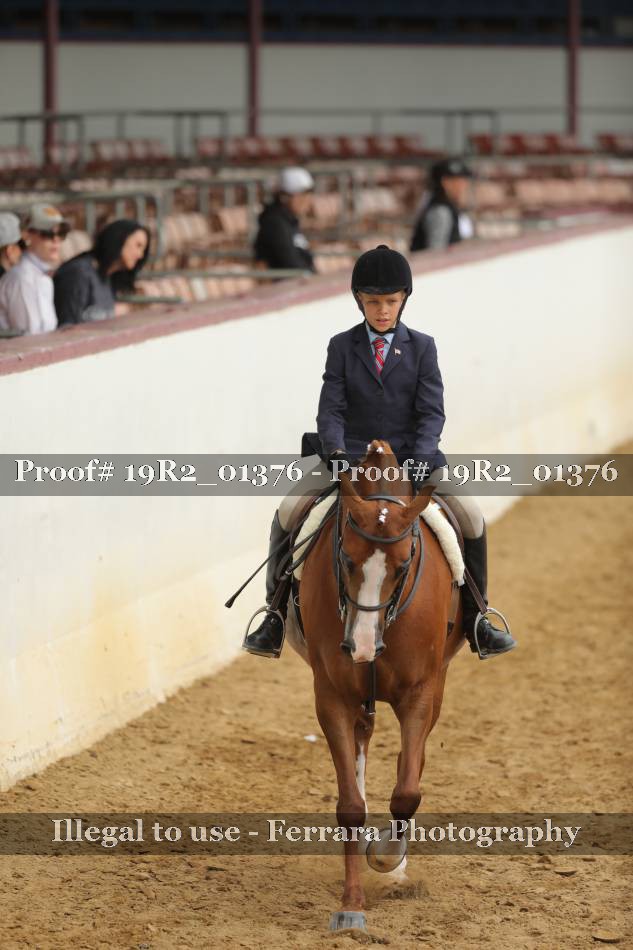Proof 19R2_01376