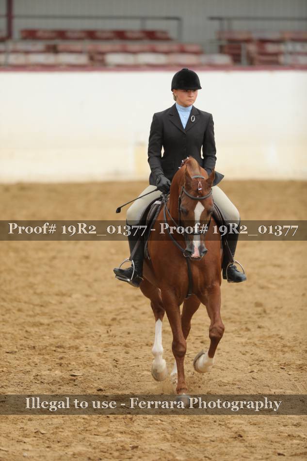 Proof 19R2_01377