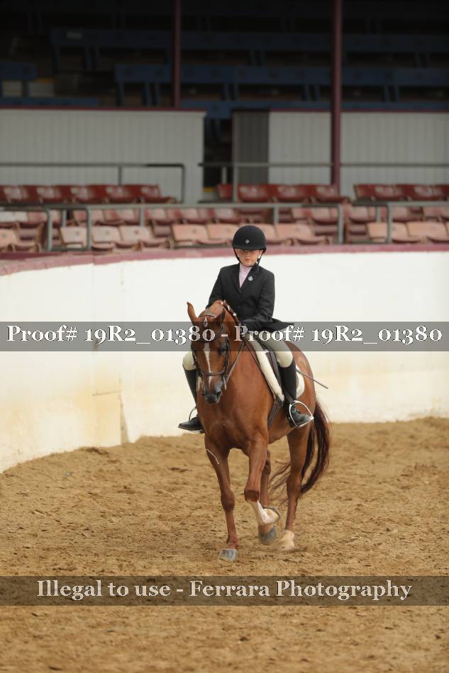 Proof 19R2_01380