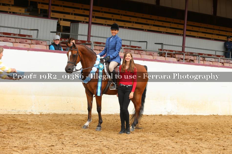 Proof 19R2_01386
