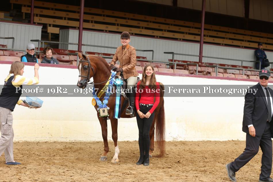 Proof 19R2_01387