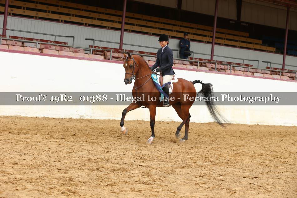 Proof 19R2_01388