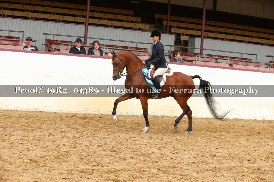 Proof 19R2_01389