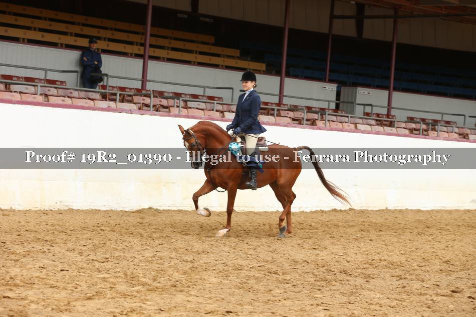 Proof 19R2_01390