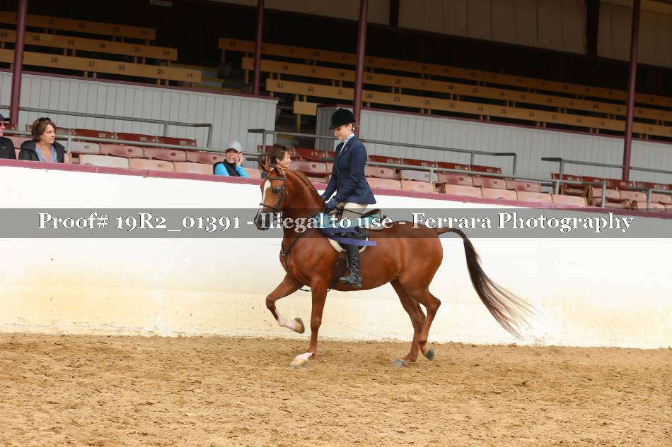 Proof 19R2_01391