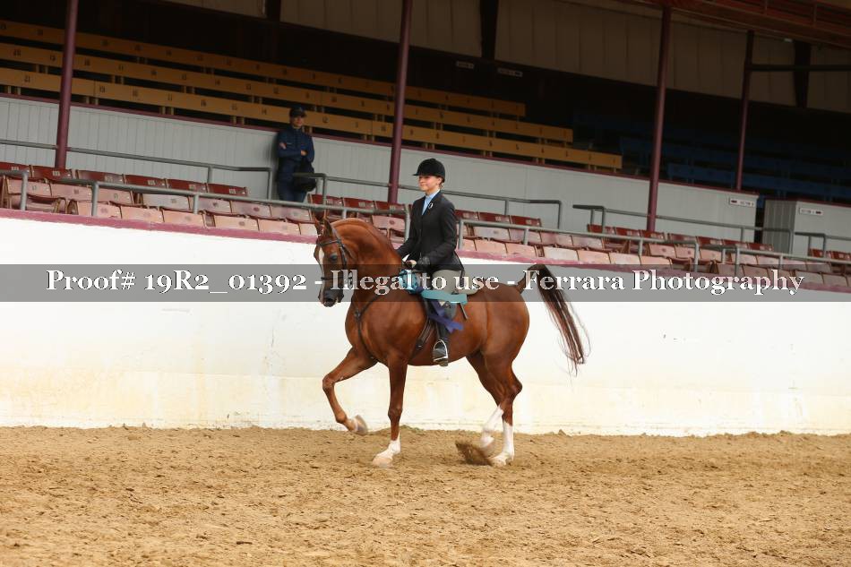 Proof 19R2_01392