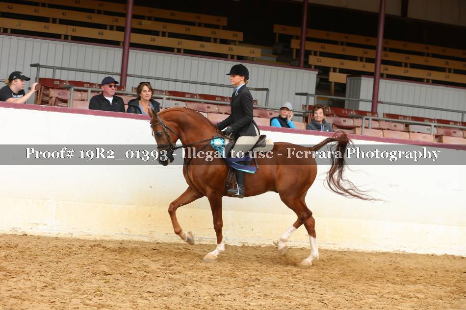 Proof 19R2_01393