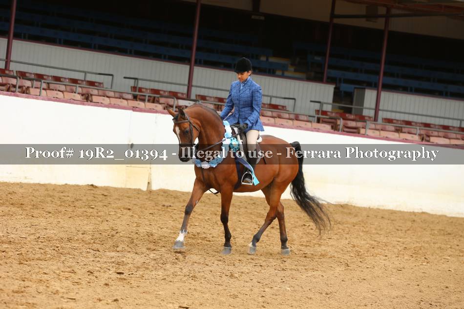 Proof 19R2_01394
