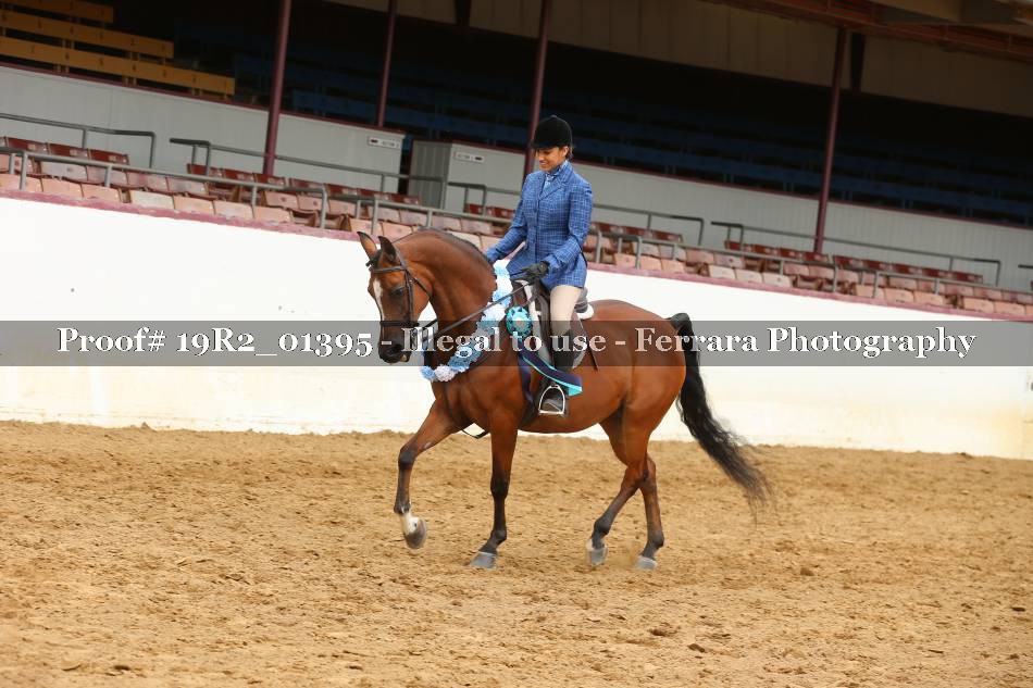 Proof 19R2_01395