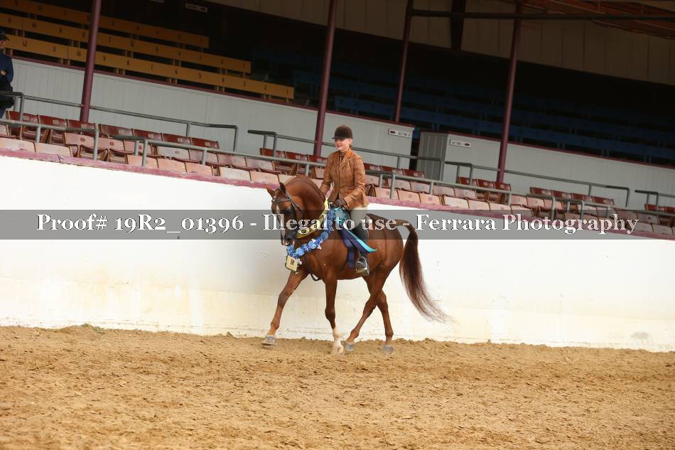 Proof 19R2_01396
