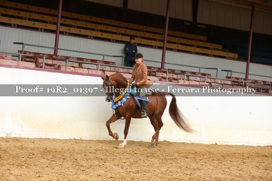 Proof 19R2_01397