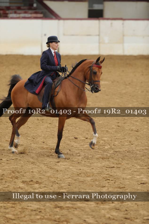 Proof 19R2_01403
