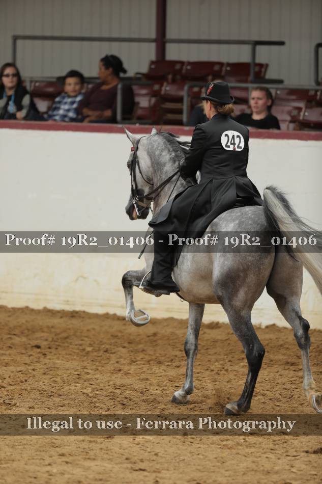 Proof 19R2_01406
