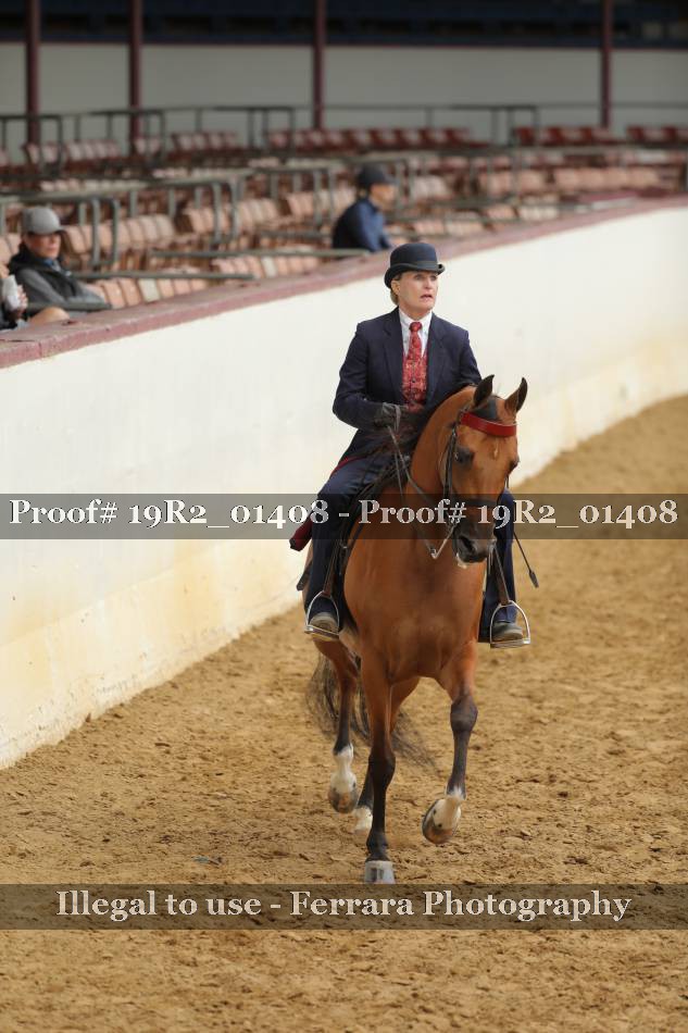 Proof 19R2_01408