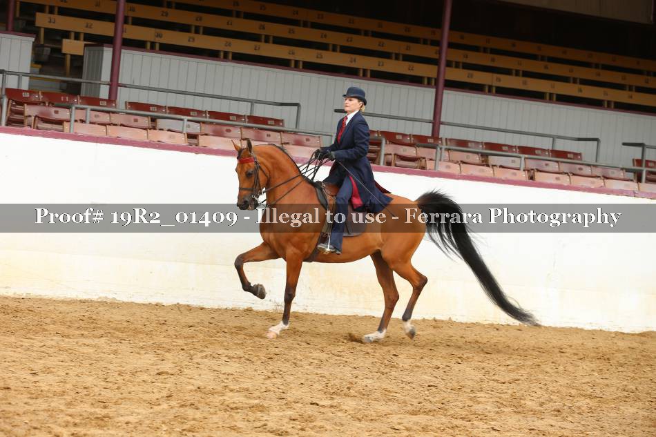 Proof 19R2_01409