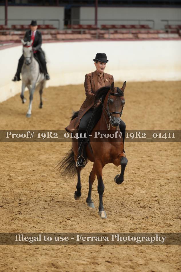 Proof 19R2_01411