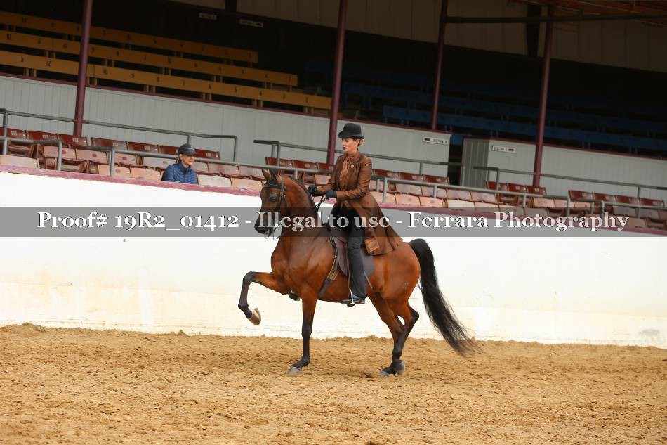 Proof 19R2_01412