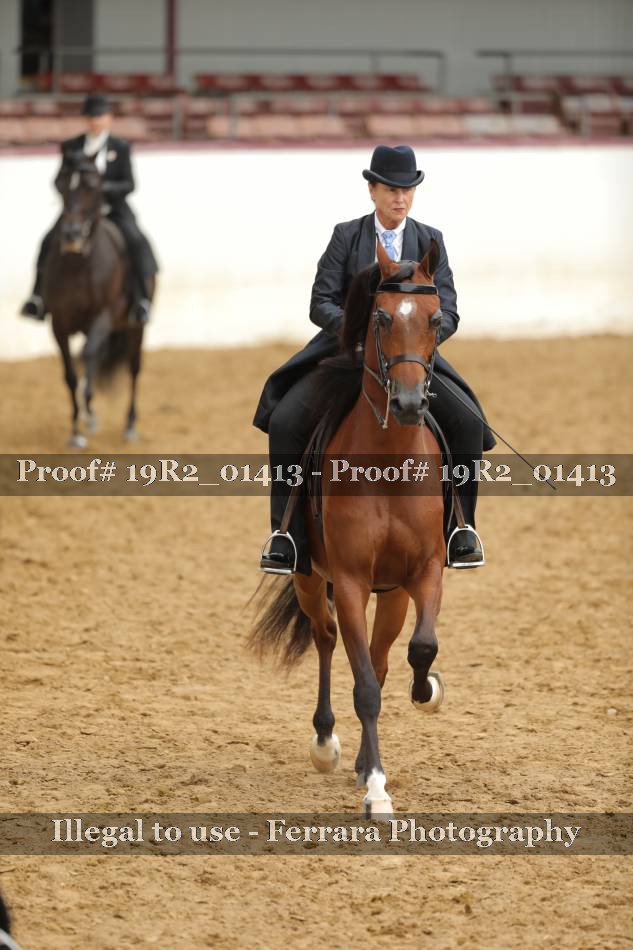 Proof 19R2_01413