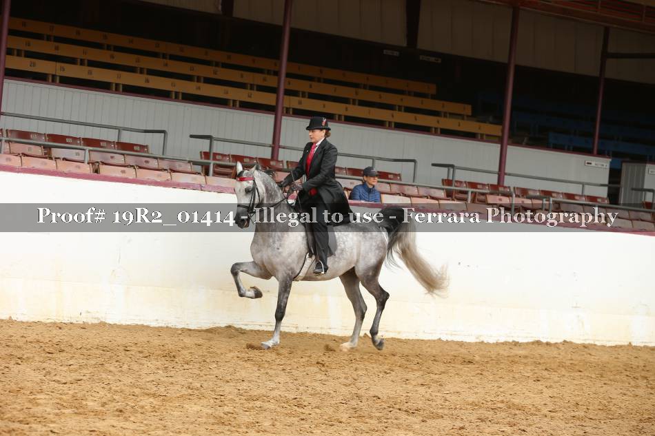 Proof 19R2_01414