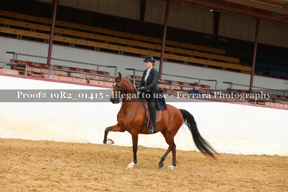 Proof 19R2_01415